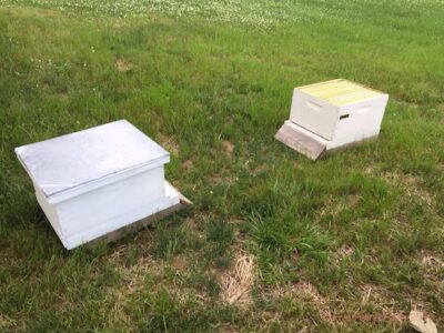 The Walk-Away Split Pros and Cons Image